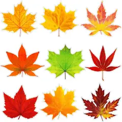 Thanksgiving Fall Bulletin Board Decorations