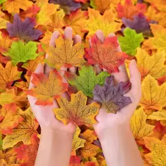 500PCS Fall Leaves - 8 Colors