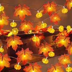 2 Pack & Timer - Fall Garland with Pumpkin Lights - 60 LED 20 Ft (3D)