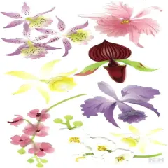 Jolee's Boutique Colorful Orchids Dimensional Stickers