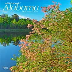 Alabama Wild & Scenic | 2026 12 x 24 Inch (Hanging) Monthly Square Wall Calendar | Plastic-Free