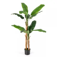 5.5 FT Artificial Banana Tree w/ 10 PEVA Leaves & 2 PE Stalks, Cement Pot