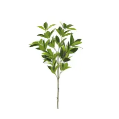 26" Artificial Shikibu Leaf Spray &ndash; Lifelike Greenery for Floral Arrangements & Home D&eacute;cor (FL3569-G)