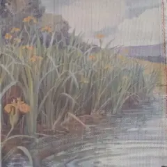 Riverside Reeds Designer Printed AIDA Fabric. Canvas for embroidery with an applied backgroundKF-1118A