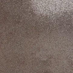 CHAMPAGNE FUSION Sequin Glitter Cardstock - Encore Paper