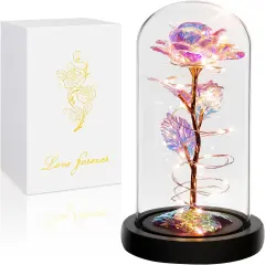Birthday Gifts for Women,Mothers Day Flowers Gifts for Mom from Daughter Son,Valentines Gifts for Her,Colorful Rainbow Light Up Rose in A Glass Dome Mom Presents for Her Wife Grandma