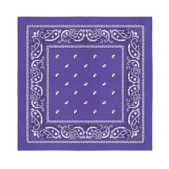Paisley 100% Polyester Unisex Bandanas - Pack of 20 - Bulk Wholesale