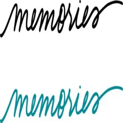 FLOCKED IRON ONS MEMORIES