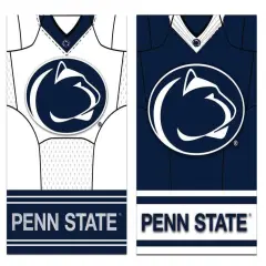 Penn State Nittany Lions Flag 2 Sided Jersey House Banner