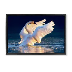 Stupell Industries Sunset Symphony Swan Framed Floater Canvas Wall Art Design by Shane Lamb