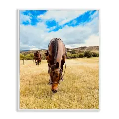 Stupell Industries Grazing Horses Pasture Framed Giclee Wall Art Design by Kali Wilson