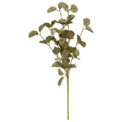 21&rdquo; Long Sage Foamy Silver Dollar Spray with Green Paper-Wrapped Stem and Branches