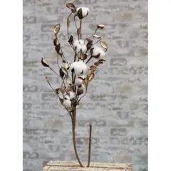 Cotton Branch With Shells, 30"