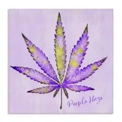 Stupell Industries Purple Haze Plant Leaf Canvas Wall Art Design by LIH