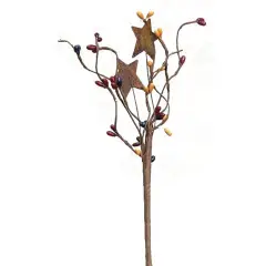 Mix Pip Berries & Star Pick Colonial Mix