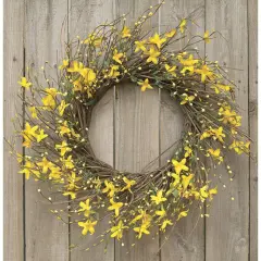 Star Forsythia Wreath 20"