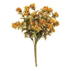 Late Bloomer Bush Pumpkin