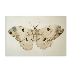 Stupell Industries Vintage Beige Moth Canvas Wall Art Design by Petal Prints Design