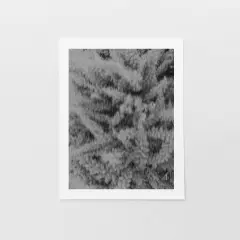 Tropical Foliage Black and White Art