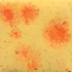 $product['description']['title']}