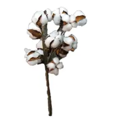 Cotton Ball Bunch 14"