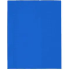 Plymor 8" x 10", Blue 2 Mil Flat Open Plastic Poly Bags