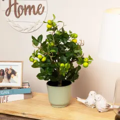 Northlight Bonsai Style Artificial Mini Apple Tree in Pot - 23" Green