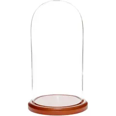 Plymor 5.5" x 11" Glass Display Dome Cloche Walnut MDF
