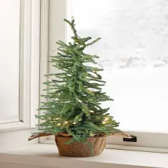 2' Pre-Lit Tabletop Tree with Burlap Base GREEN