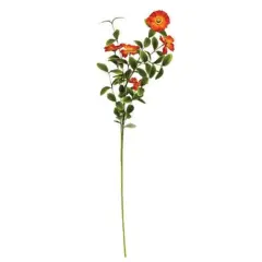 Windflower Spray Orange