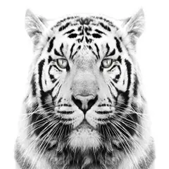 White Tiger Edible Cake Topper