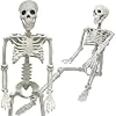 Realistic Full Body Movable Posable Joints Skeleton