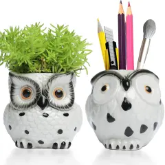 Owl Ceramic Planters With Drainage