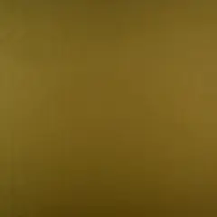 1 Yard Solid DTY Brushed Knit Fabric, 58/60&Prime; Wide Polyester Spandex Blend GREEN MOSS