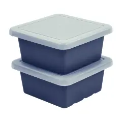 Square Bin with Lid, Storage Containers, 2-Pack Navy