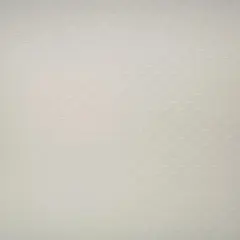 1 Yard Lightweight Swiss Dot Chiffon Fabric Solid Woven Sheer Drapery 57/58" Width WHITE