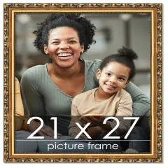 21x27 Museum-Quality Picture Frame with UV-Resistant Acrylic & Acid-Free Backing, Available in 4 Finishes - Gold, Silver, Bronze, and Black