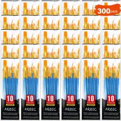 Painting Brush Set, 30 Packs/300 Pieces, Nylon Brush Head, Suitable for Oil and Watercolor, Perfect Suit of Art Painting, Best Present for Painting Enthusiasts