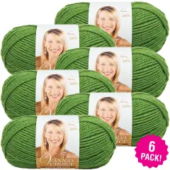(6 Pack) Lion Brand Vanna's Choice Yarn - Kelly Green