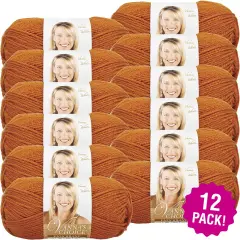 (12 Pack) Lion Brand Vanna's Choice Yarn - Rust