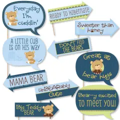 Big Dot of Happiness Funny Baby Boy Teddy Bear - Baby Shower Photo Booth Props Kit - 10 Piece