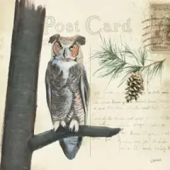 Northern Wild V Poster Print by James Wiens - Item # VARPDX17390