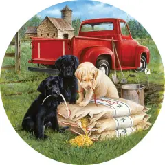 Sunsout Seeds of Mischief 500 pc Round Jigsaw Puzzle 73441