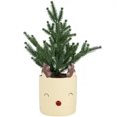 Northlight Mini Artificial Christmas Tree in Reindeer - 14.25" - Unlit Green