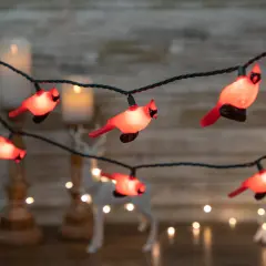 Northlight Cardinal Indoor Outdoor Patio Light Set - 6' Green Wire - 10ct Red