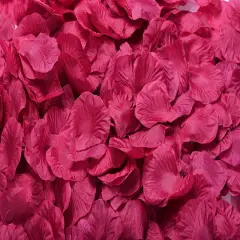 Kitcheniva Multicolor Silk Rose Petals DIY Craft & Party Decor 1000 Pcs Rose pink