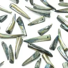 6 Packs of Tinted Shell Spike Slate 2x8" Strand