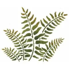 Fern Wall Stencil