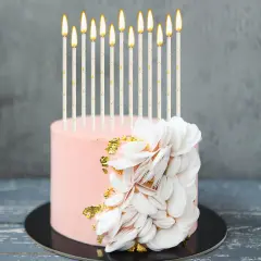 24 Pieces Birthday Candles Long Thin Cake Candle Cupcake Candles for Birthday Wedding Anniversary Graduation Retirement Party Decoration (White Gold)
