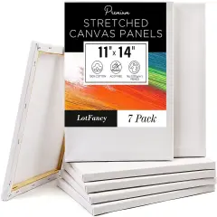 7-Pack Stretched Canvas for Bulk Painting